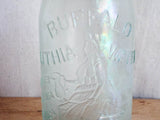 Antique 1800s Buffalo Water Lithia Glass Bottle ~ Edward H Everett