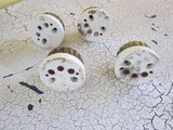 Set of 4 Victorian Porcelain & Brass Light Switches - Yesteryear Essentials
 - 10