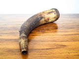 Antique American Revolutionary War 18th C Gun Powder Horn