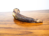 Antique American Revolutionary War 18th C Gun Powder Horn