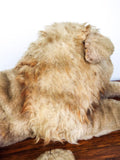 Vintage Mohair Lion w Mane Plush Stuffed Animal