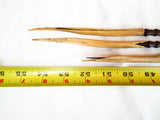 Antique Head Hunting Cassowary Bone Tipped Arrows ~ Papua New Guinea