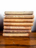 Antique Knickerbocker Miniature William Shakespeare Set 21 Leather Bound Books