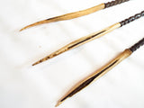 Antique Head Hunting Cassowary Bone Tipped Arrows ~ Papua New Guinea