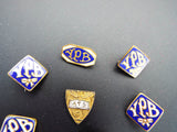 Vintage Collection Temperance Pins YPB ATS Masonic Pins Lapel Badges 1910 1940s