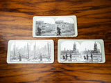 Antique 1906 San Francisco Earthquake Original Stereoview Cards